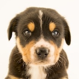 goodquestion-mmhookfourhundered icon