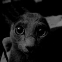 gruggy-DumbSprays icon