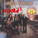 gruggy-HeadmanFreeBirdChase icon