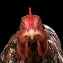 guh-testguhnumbers icon