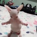 halstar-Halstars_awesome_gamer_posters icon