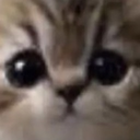 hehaho-babbab icon
