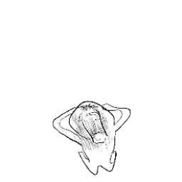 home-home_music icon