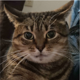 horsey_fire-HorribleEvilSuits icon