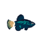 hostileonion-SaveMyFish-1.1.0 icon
