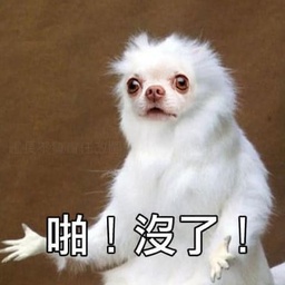 huihui-ror2language icon