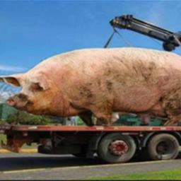 iLueGaminTeam-ModpackParaLosPanucas icon