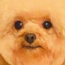 ik-elishajoinmodpack icon