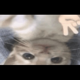 ilkankuss-TV_Mod_For_Vulpixsi_ icon