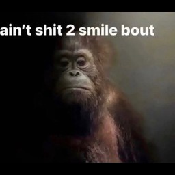 ilovekoreangirls-feorge_gloyd icon