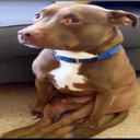 imaginebreathing-Wxcks_Modpack icon