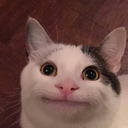 imigliori-Fra_Chri_E_Gino icon