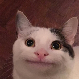 imigliori-Fra_Chri_E_Gino icon