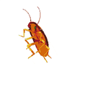 invent60-BugFixer icon