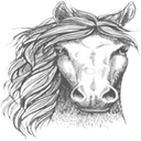 irish_sc-my_nameu_mughound icon