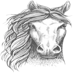 irish_sc-my_nameu_mughound icon