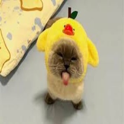 ismailll-ModTuretta icon