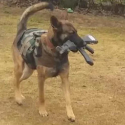 itsChase-itsChases_ModPack icon