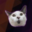 itsMrForb-cat_suits-1.1.3 icon