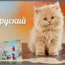 iveniuss-Legendary_Russian_Translation icon