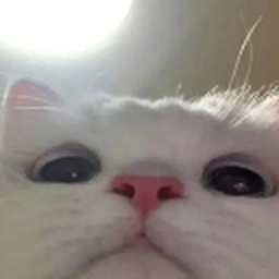 jasonrobo100-8Balls icon