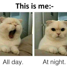 jt_and_mer-DayAndNight icon