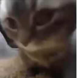 jt_and_mer-TimTam_Caramelldansen icon