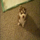 jt_and_mer-playerhit_remispeak icon