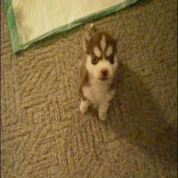 jt_and_mer-playerhit_remispeak icon