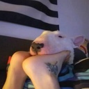 kaiu-Jaundice_Pack icon