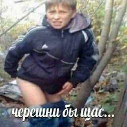 karga-OmagadKargaPosters icon