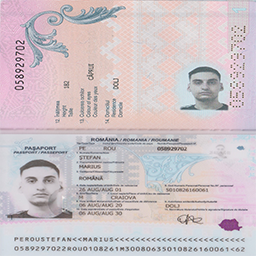 keve-gnome_paintings icon