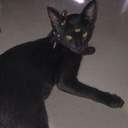 kezzy-Kez_Modpack icon