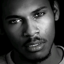 killianiscool-NoMoreParties_LoudHorn icon