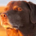 kimtofu-kimtofumodpack icon