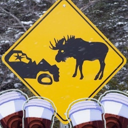 kking117-MochaAntler icon