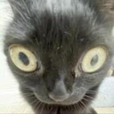 kuromi_vore-modpackxoxo icon