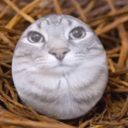 laztv-Lazs_emporium_of_shitposts icon