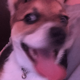 lethalnix-nixs_modpack icon