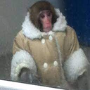 leveur2soupe-Modpack_Antre_Malveillance icon