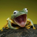 limzal-AAAAAAAAAHHHHHHH icon