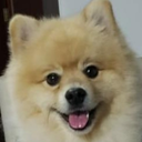 lion_lol-LionModpack icon