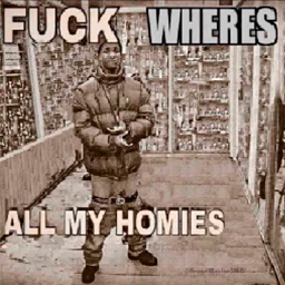 local1337-lizascat icon