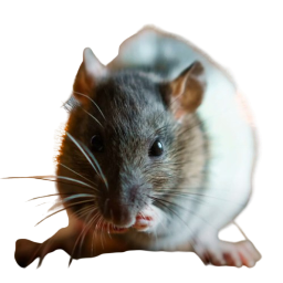 lrbg-tv_pack_lrbg icon