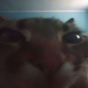 luk-lukssoundpack icon