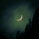 luuhooo-The_Wilds icon