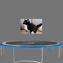 m0nolit-TV_cat_Jumping icon