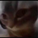 madafajitas-Chipi_Chipi_Modpack icon