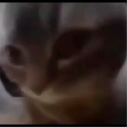 madafajitas-Chipi_Chipi_Modpack icon