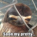 mamaguevo-EvilSloth_Modpack icon